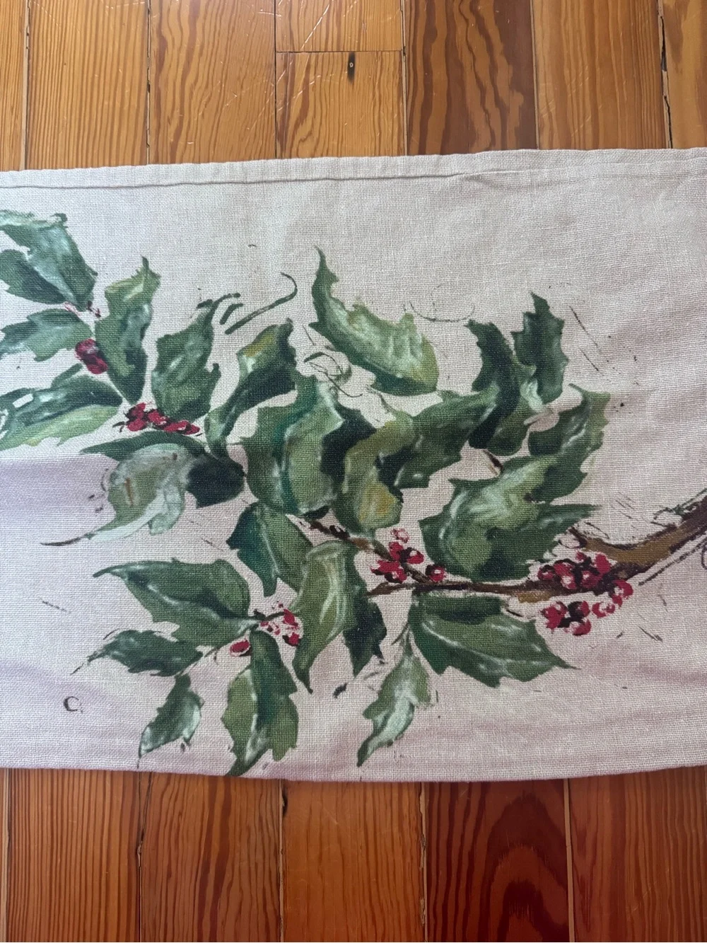 Pottery Barn Holiday Holly Branch Decorative Pillowsham